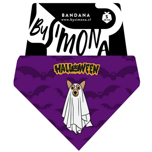 Bandana con Collar Halloween 2 🎃