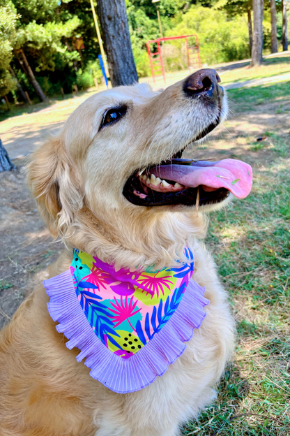 Bandana Lila