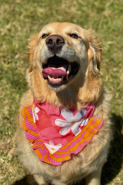 Bandana Naranja/Rosado
