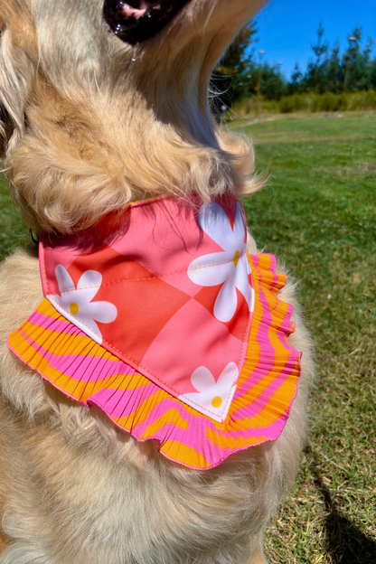 Bandana Naranja/Rosado