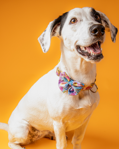 COLLAR CON CORBATÍN PINK FLOWER