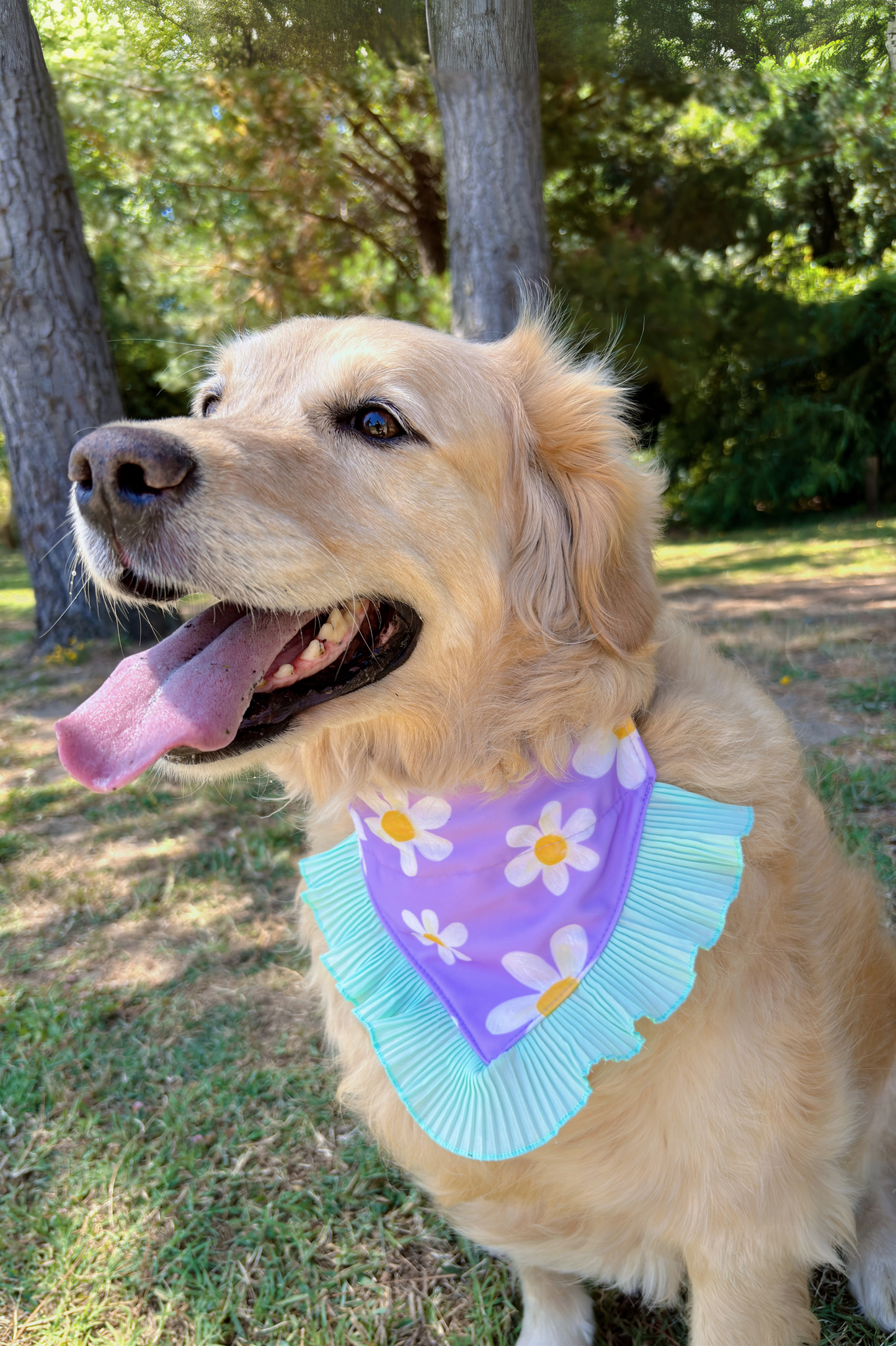 Bandana Menta