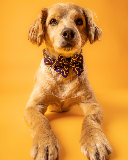 COLLAR CON CORBATÍN CONFETTI