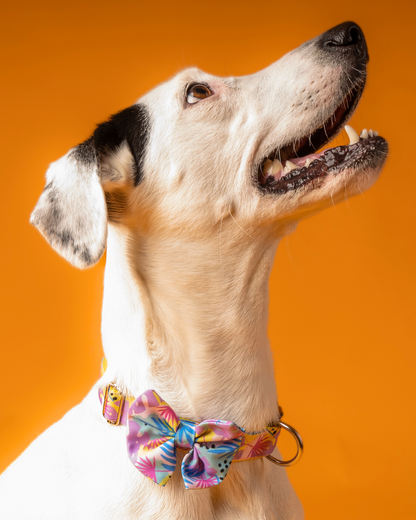 COLLAR CON CORBATÍN PINK FLOWER