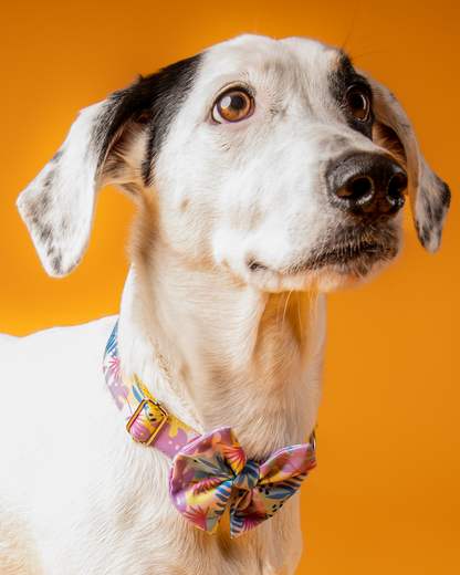COLLAR CON CORBATÍN PINK FLOWER