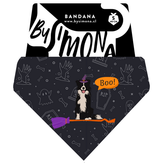 Bandana con Collar Collie 🎃