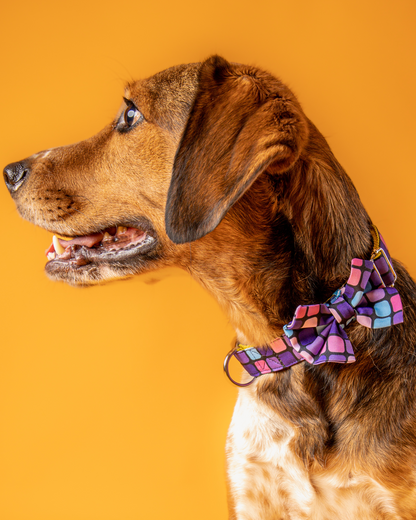 COLLAR CON CORBATÍN PURPLE PARTY