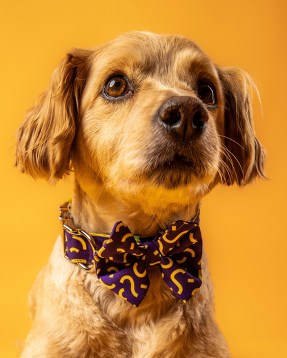 COLLAR CON CORBATÍN CONFETTI