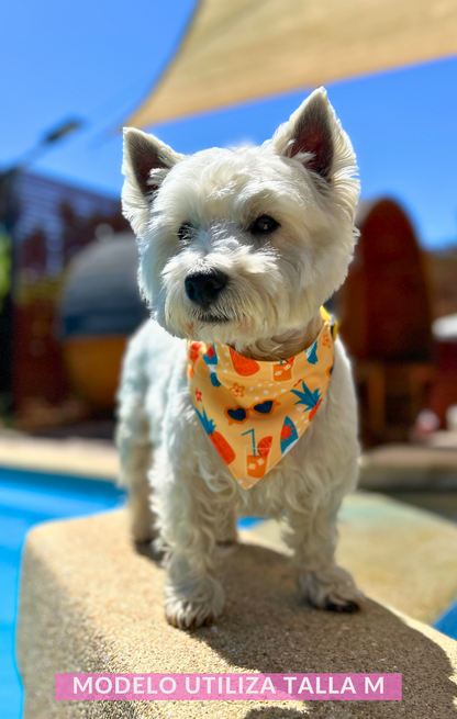 Bandana Verano ☀️