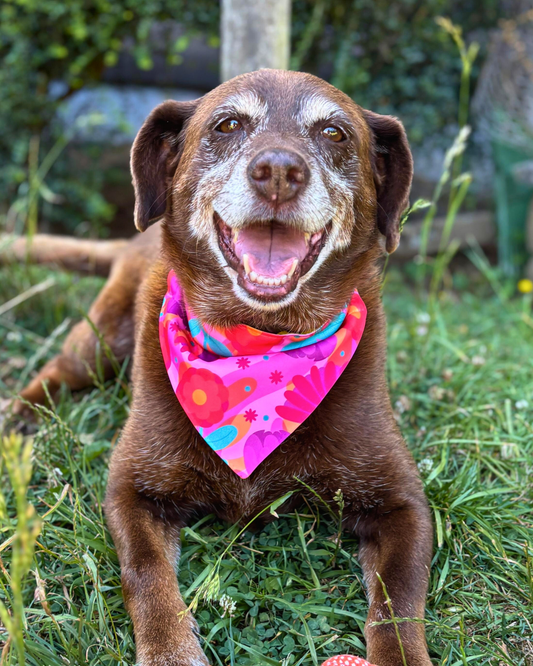 BANDANA FLOWERS 🌻