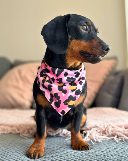 Bandana con collar ajustable para perros y gatos - Pink Print