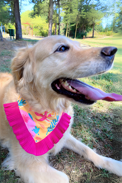 Bandana Fucsia