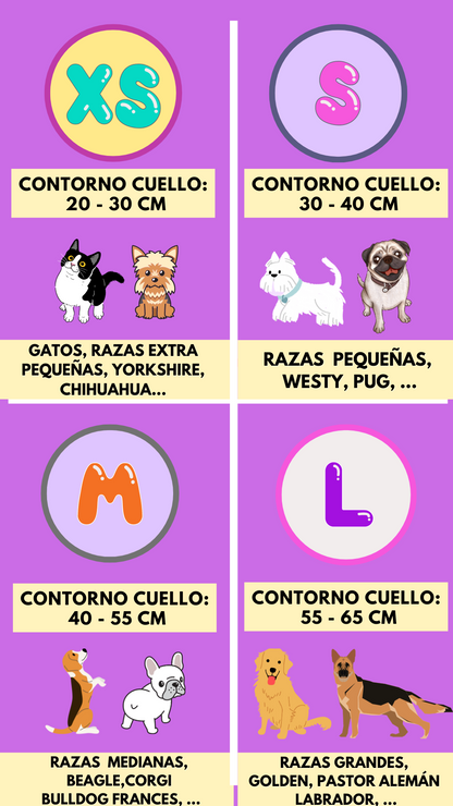 Bandana con Collar Lovely 🎃