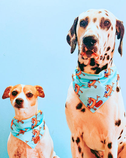 Bandana con collar para Perros CatDog
