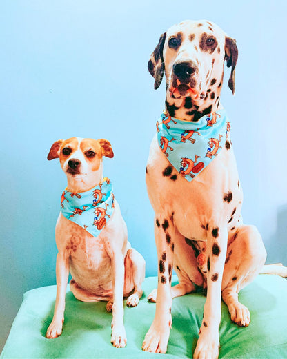 Bandana con collar para Perros CatDog