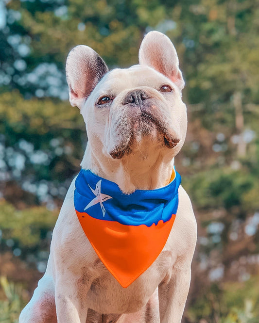 Bandana Bandera Chilena