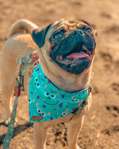 Bandana con collar para Perros Monsters Sulley