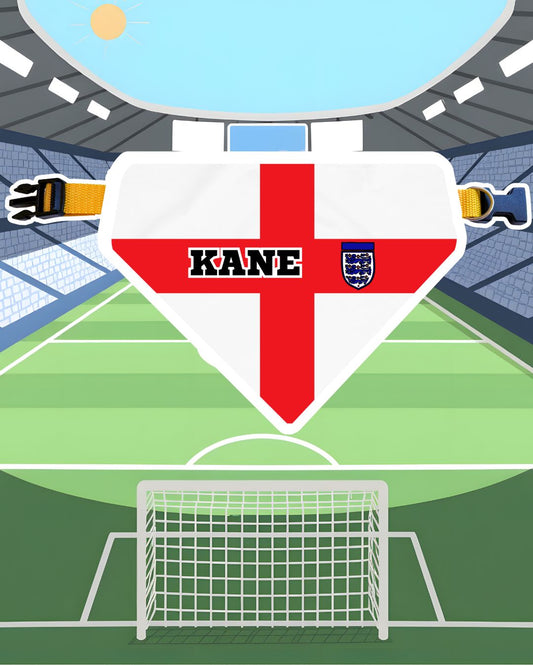 Bandana Mundial Inglaterra⚽