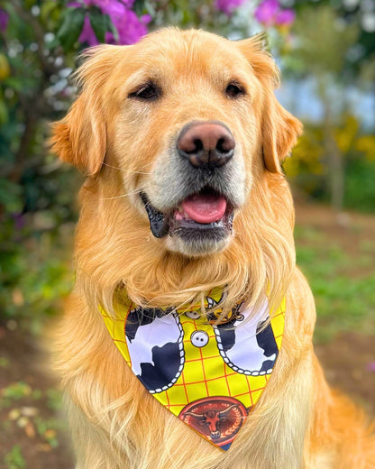 Bandana con collar para Perros Vaquero