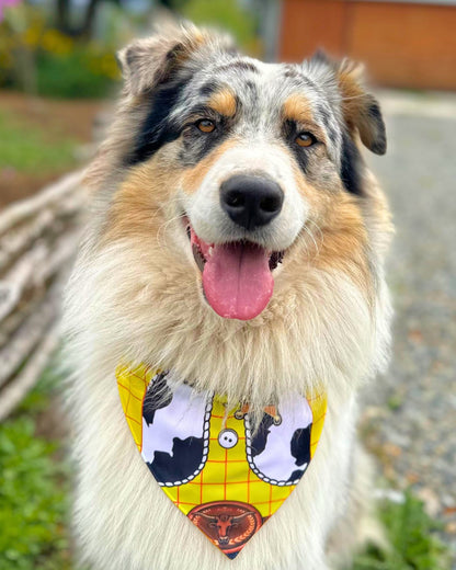 Bandana con collar para Perros Vaquero