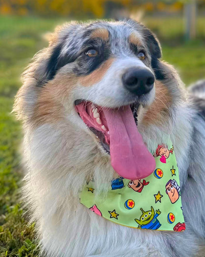 Bandana con collar para Perros Toys