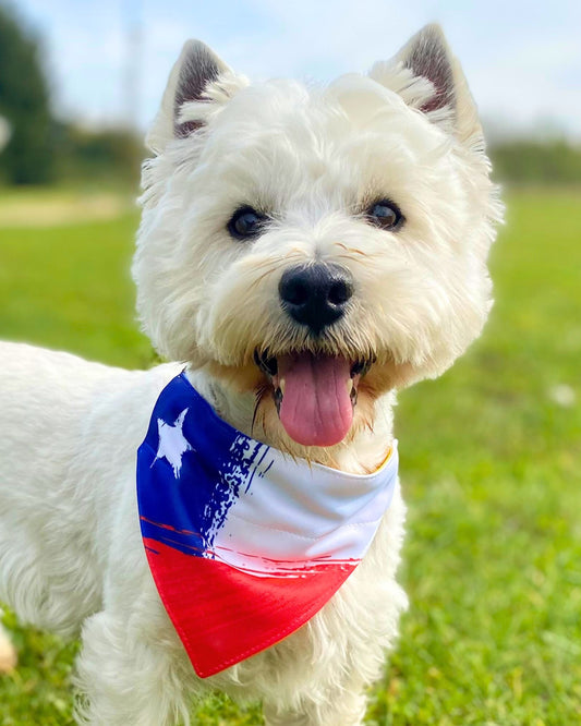 Bandana bandera Chilena