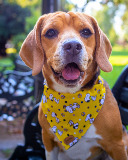 Bandana con collar para Perros Snoopy