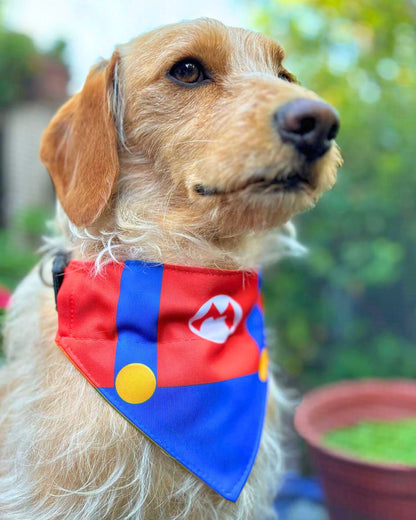 Bandana con collar para perros caricaturas Mario