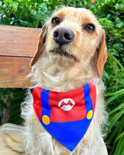 Bandana con collar para perros caricaturas Mario