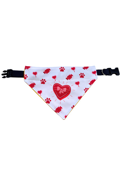 Bandana Regalo de amor