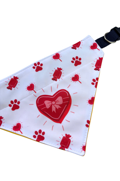 Bandana Regalo de amor