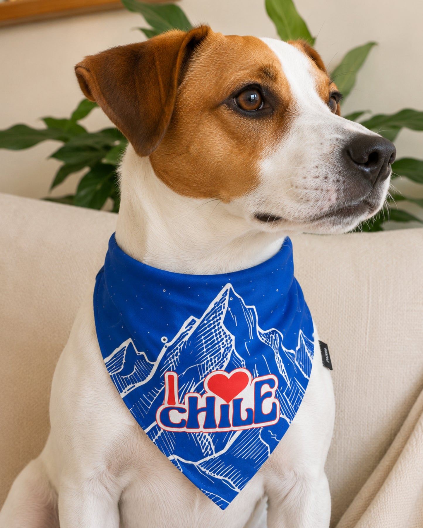 Bandana Cordillera Chilena Azul