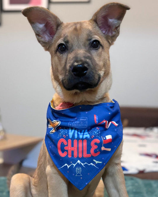 Bandana Viva Chile