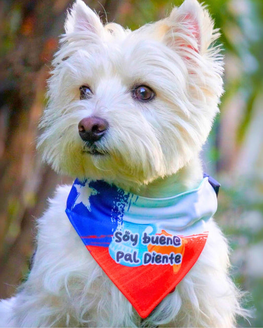 Bandana Bueno pal diente 😋