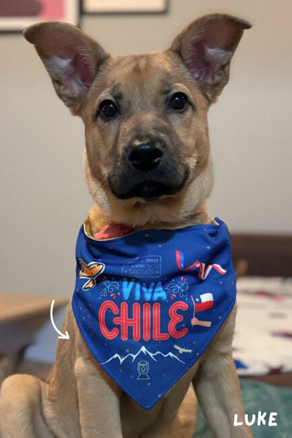 CORDILLERA CHILENA ✈