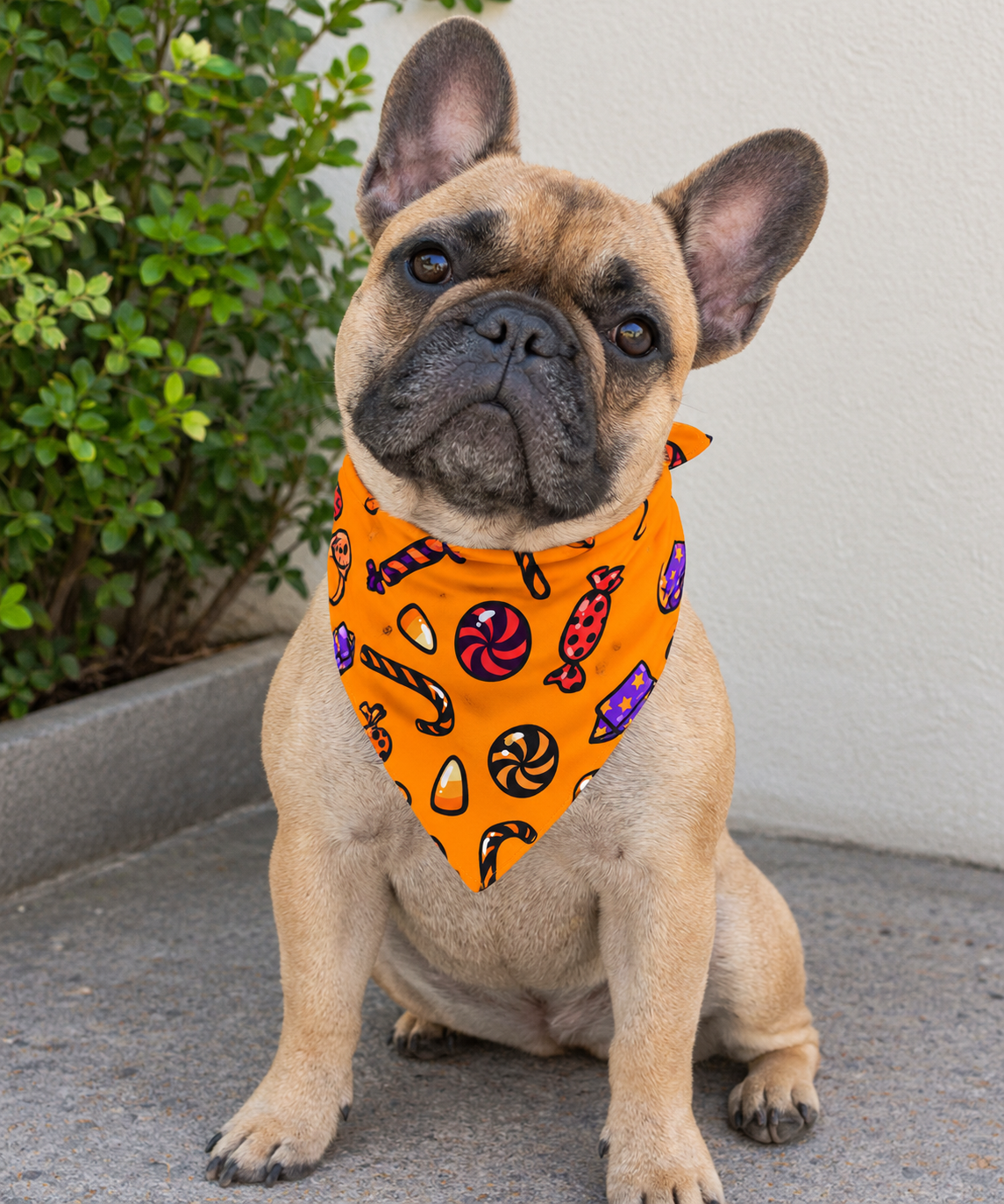 Bandana con Collar Candy 🎃