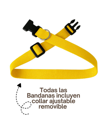 Pack Bandana + Plaquita para Perros y Gatos Perritos
