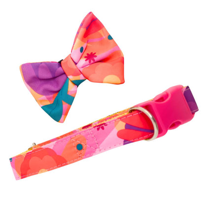 Collar y Corbatín Colores