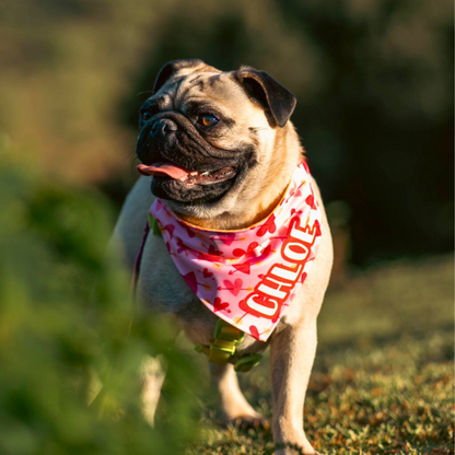 Bandana Personalizada con Collar Ajustable para Mascotas – Diseño CHLOE