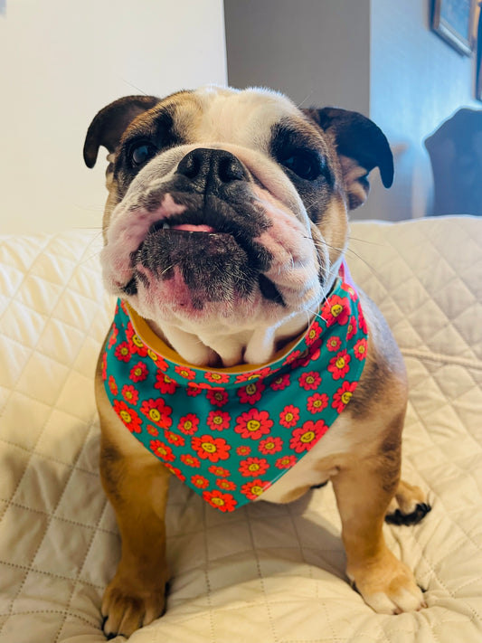 Bandana Happy Flowers 🌷