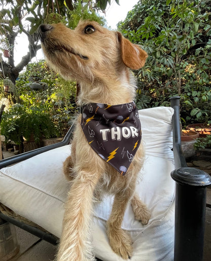 Bandana Personalizada con Collar Ajustable para Mascotas – Diseño THUNDER