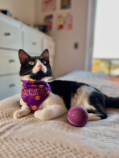 Bandana LOS ANGELES 🏀