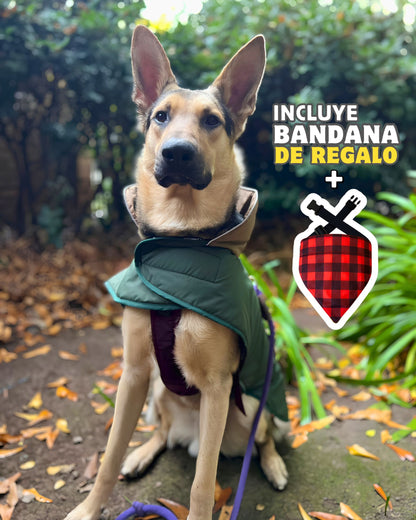 Parka Impermeable para perros Verde + Bandana de regalo