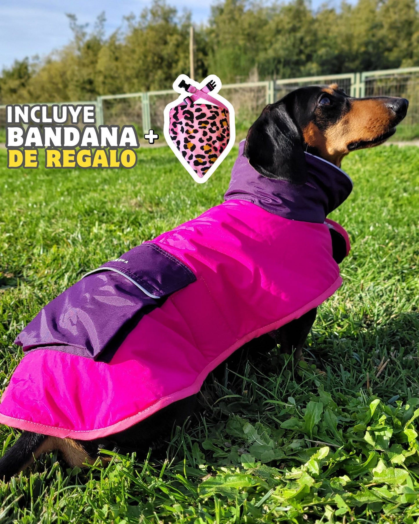 Parka Impermeable para Perros Fucsia + Bandana de regalo