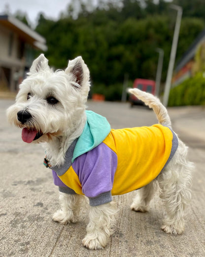Polerón para Perro Tricolor amarillo