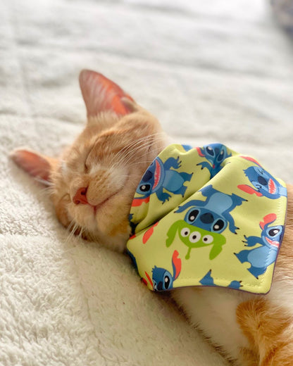 Bandana con collar Stitch