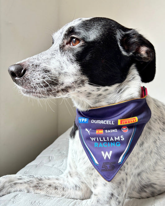 Bandana con Collar Ajustable para Perros y Gatos – Fórmula 1 -SAINZ