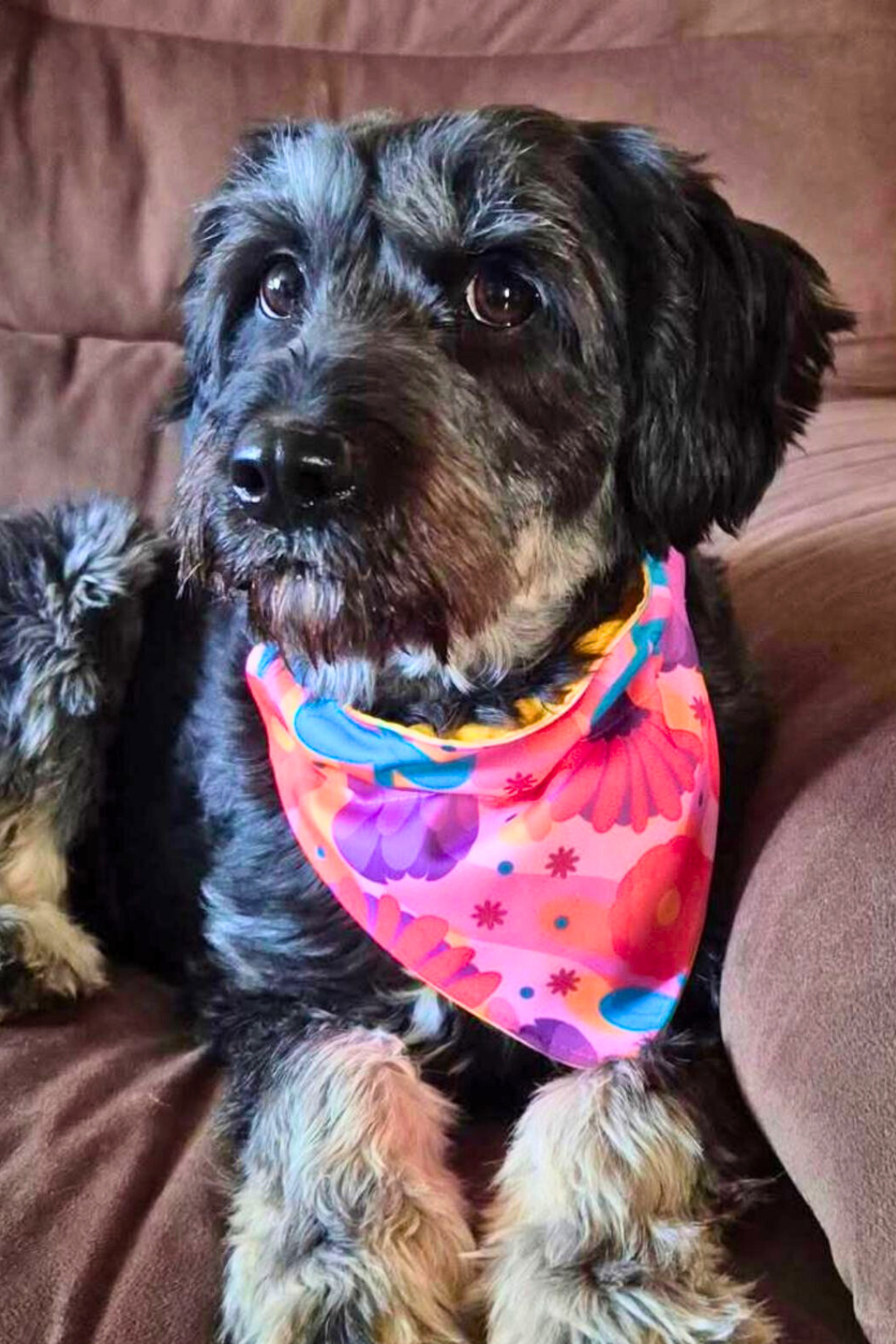 BANDANA FLOWERS 🌻