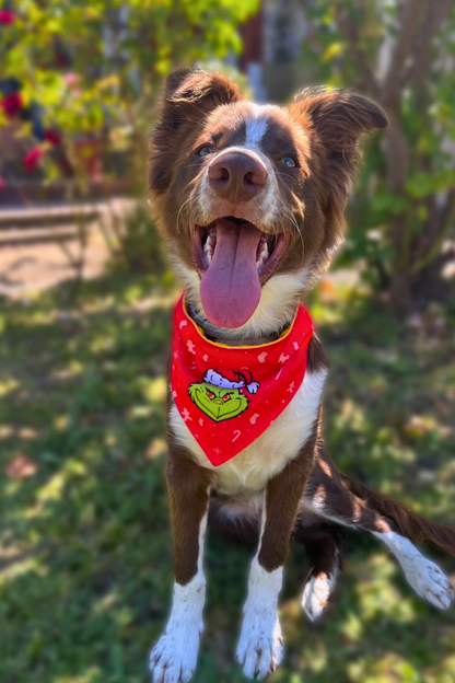 Bandana con collar para perros y gatos - Odio la Navidad