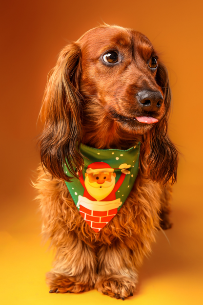 Bandana con collar para perros y gatos -  Viejito Pascuero